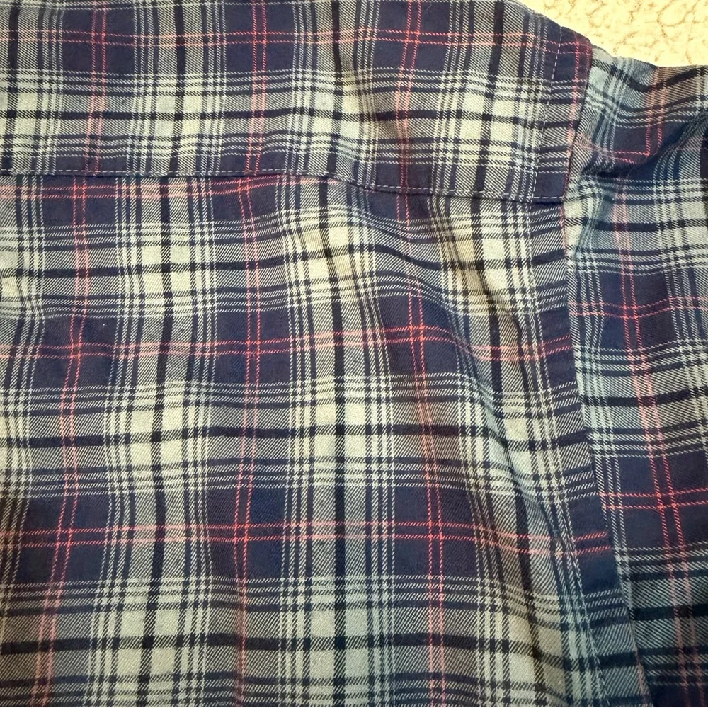 Patagonia Organic Cotton Flannel‎ Plaid Button-Down Shirt | Men’s L | Blue & Red